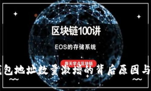 以太坊钱包地址数量激增的背后原因与未来展望