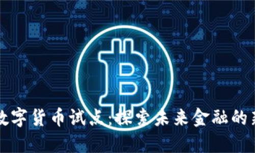 平潭数字货币试点：探索未来金融的新纪元