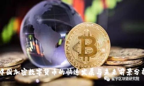 中国加密数字货币的快速发展与未来前景分析