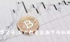 李丰数字货币：新兴投资
