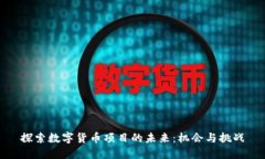 探索数字货币项目的未来