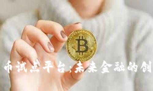 数字货币试点平台：未来金融的创新之路