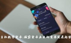主权数字货币：国家货币