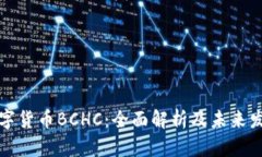 中国数字货币BCHC：全面解