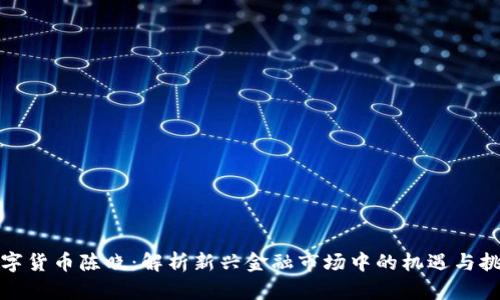 数字货币陈晓：解析新兴金融市场中的机遇与挑战