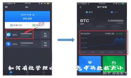 如何有效管理以太坊钱包中的数据大小