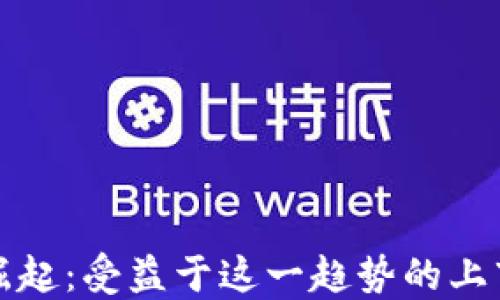 
数字货币崛起：受益于这一趋势的上市公司一览