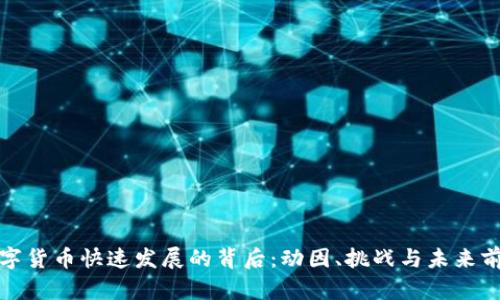 数字货币快速发展的背后：动因、挑战与未来前景