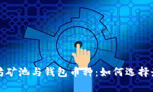 全面解析以太坊矿池与钱包币种：如何选择最适合你的选项