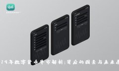 2019年数字货币牛市解析：