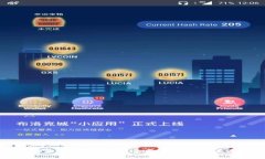 中国最大数字货币：全面