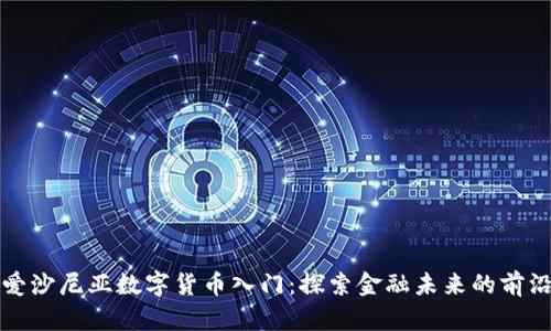爱沙尼亚数字货币入门：探索金融未来的前沿