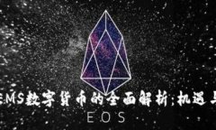 韩国EMS数字货币的全面解