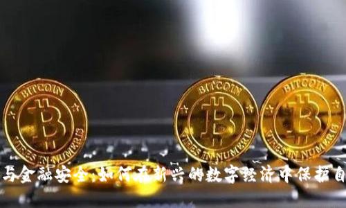 数字货币与金融安全：如何在新兴的数字经济中保护自己的资产