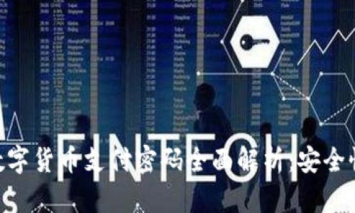 fiaoti中国数字货币支付密码全面解析：安全性与使用指南