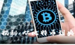 数字货币的开发者揭秘：
