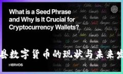 单县数字货币的现状与未