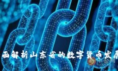 山东数字货币：全面解析