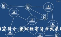 数字货币国家简介：全球