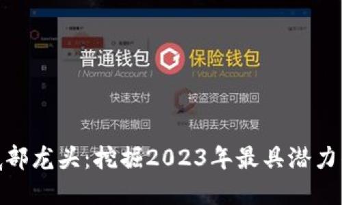 数字货币底部龙头：挖掘2023年最具潜力的投资机会