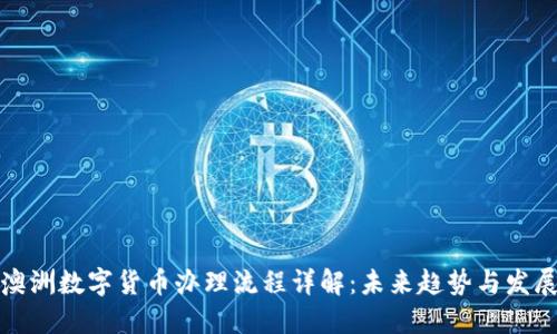 澳洲数字货币办理流程详解：未来趋势与发展