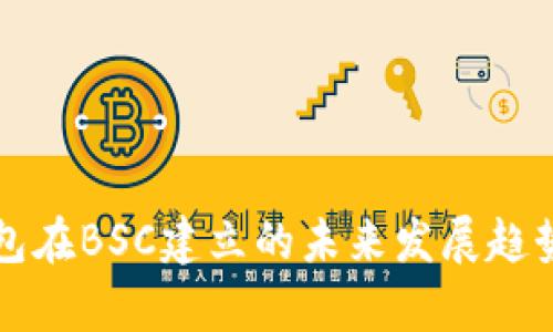 TP钱包在BSC建立的未来发展趋势分析