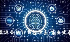 如何选择最适合的TP钱包体