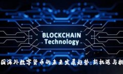 中国海外数字货币的未来