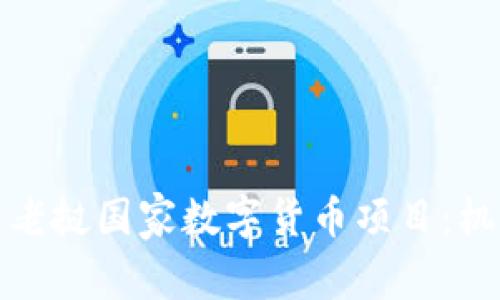 优质探索老挝国家数字货币项目：机遇与挑战