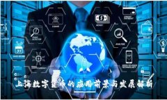 上海数字货币的应用前景