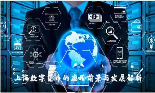 上海数字货币的应用前景与发展解析