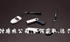 数字货币支付牌照公司：