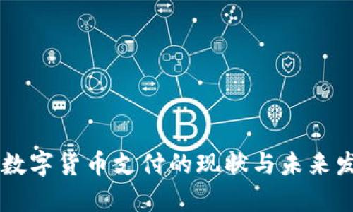 印度对数字货币支付的现状与未来发展探析