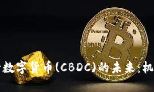国际央行数字货币(CBDC)的未来：机遇与挑战