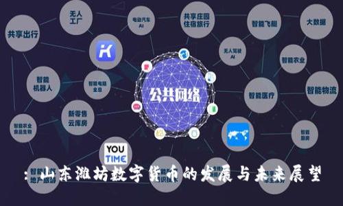 : 山东潍坊数字货币的发展与未来展望