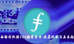 全面解析溆浦520数字货币